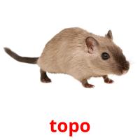 topo card for translate