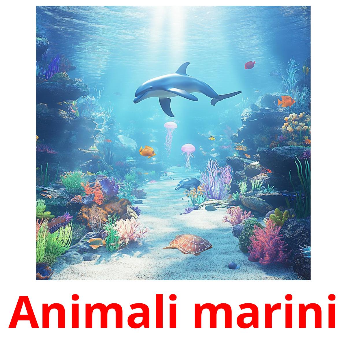 Animali marini flashcards illustrate