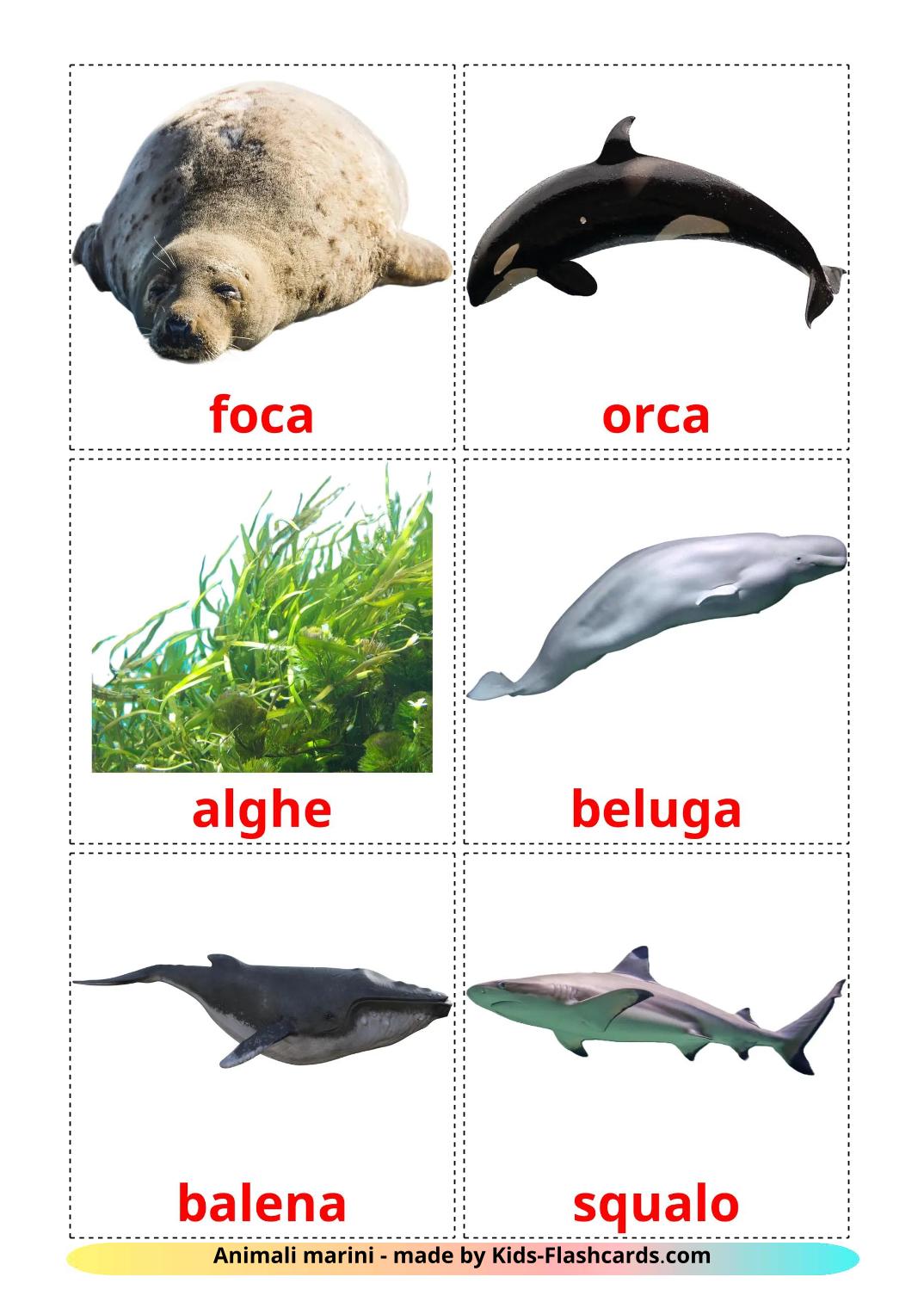 Les Animaux Marins - 30 Flashcards italien imprimables gratuitement