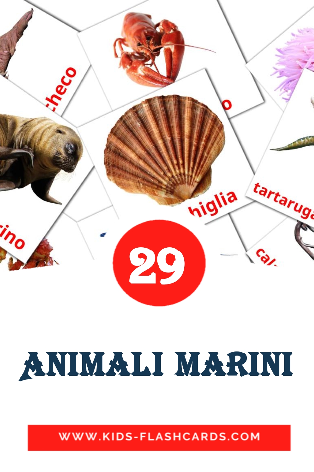 29 cartes illustrées de Animali marini pour la maternelle en italien