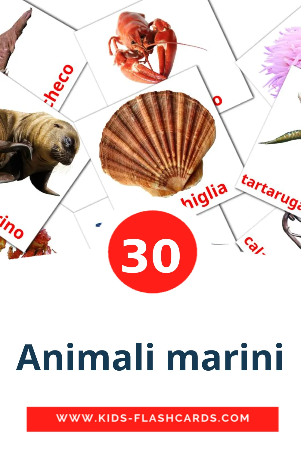 30 cartes illustrées de Animali marini pour la maternelle en italien