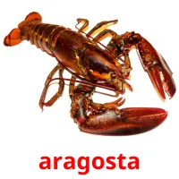 aragosta picture flashcards