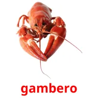 gambero picture flashcards