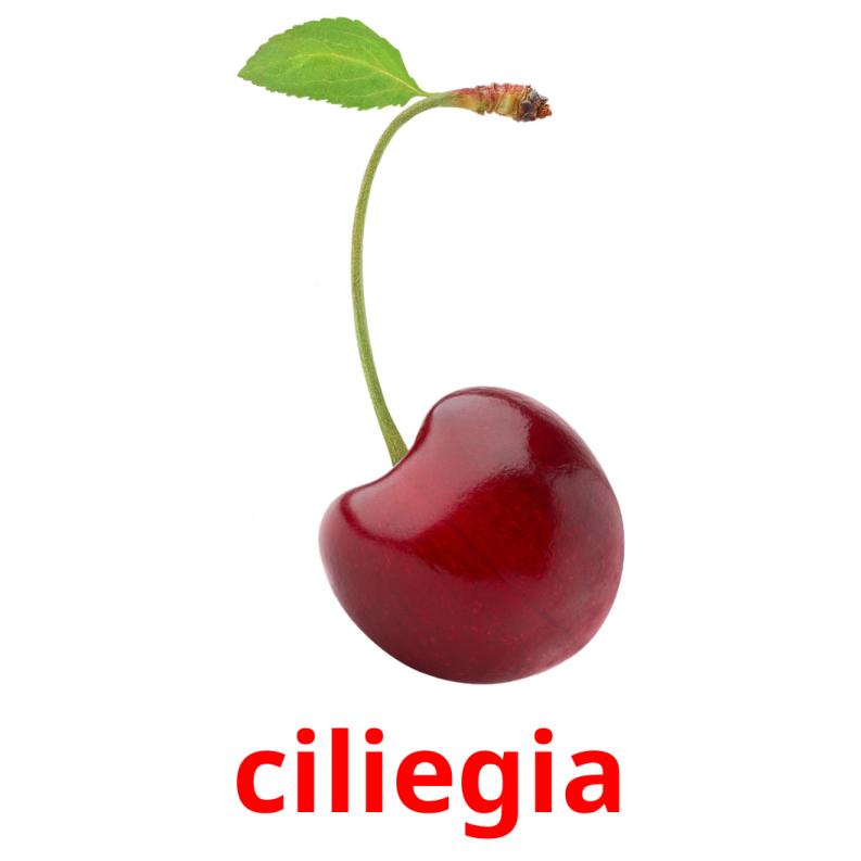 ciliegia picture flashcards