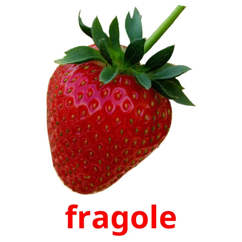 fragole picture flashcards