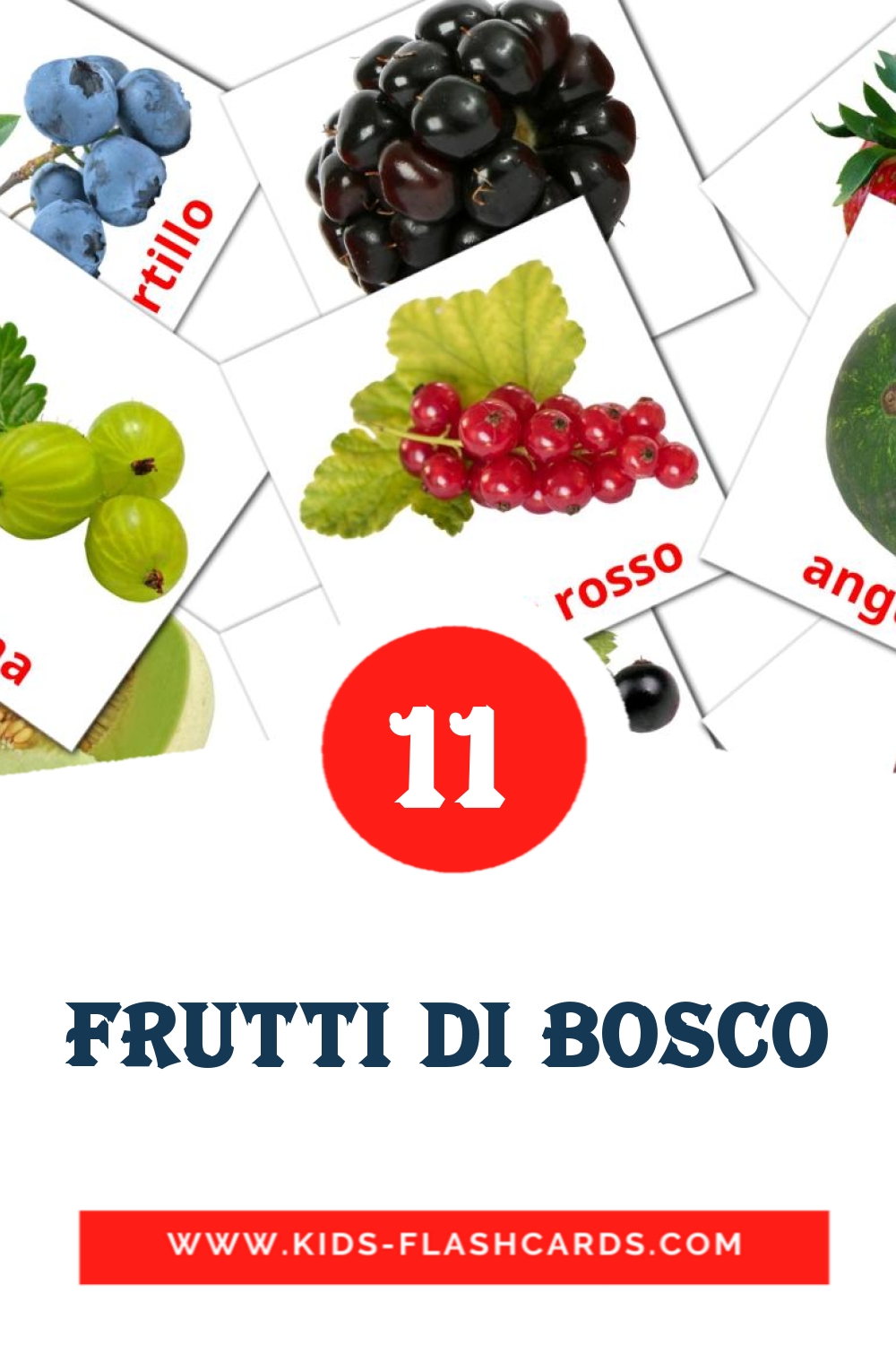 11 Frutti di bosco Picture Cards for Kindergarden in italian