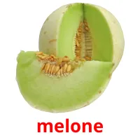 melone Bildkarteikarten