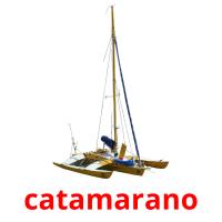 catamarano flashcards illustrate