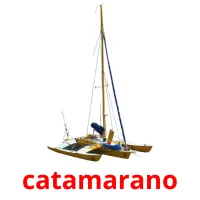 catamarano cartes flash