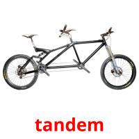 tandem picture flashcards
