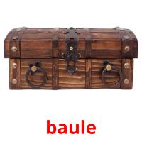 baule card for translate