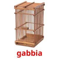 gabbia flashcards illustrate