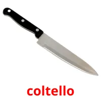 coltello picture flashcards