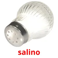 salino picture flashcards