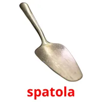 spatola picture flashcards