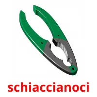 schiaccianoci cartes flash