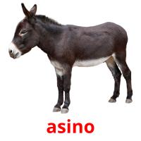 asino picture flashcards