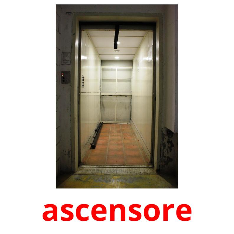 ascensore picture flashcards
