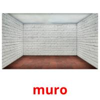 muro card for translate