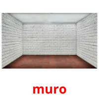 muro cartões com imagens