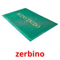 zerbino card for translate