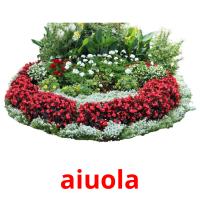 aiuola card for translate