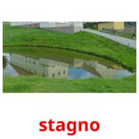 stagno card for translate