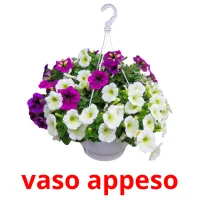 vaso appeso cartes flash