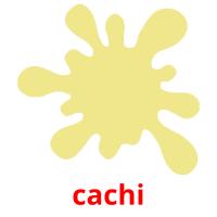 cachi picture flashcards