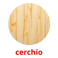 cerchio picture flashcards