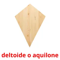 deltoide o aquilone picture flashcards