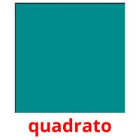 quadrato card for translate