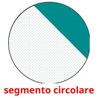 segmento circolare flashcards illustrate