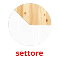 settore picture flashcards