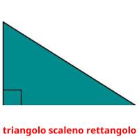 triangolo scaleno rettangolo flashcards illustrate