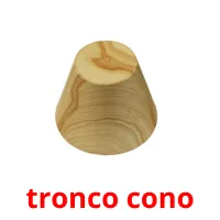 tronco cono flashcards illustrate