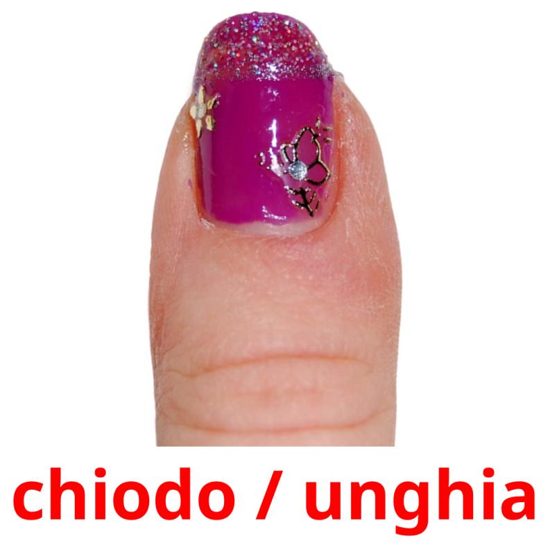 chiodo / unghia picture flashcards