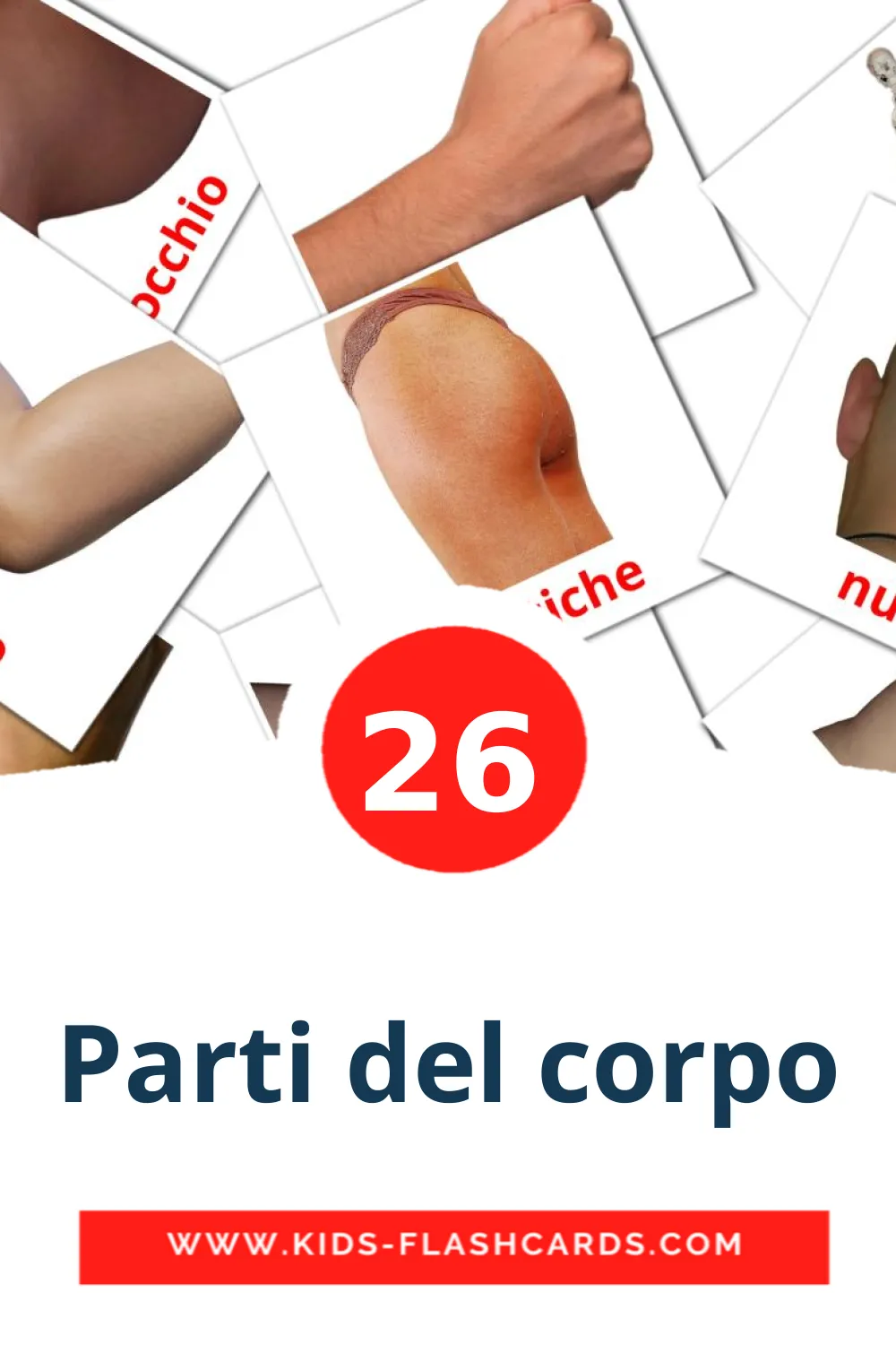 26 carte illustrate di Parti del corpo per la scuola materna in italiano