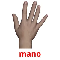 mano flashcards illustrate