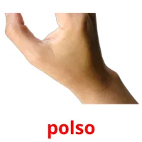 polso flashcards illustrate