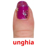 unghia flashcards illustrate