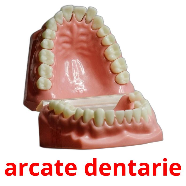 arcate dentarie cartões com imagens