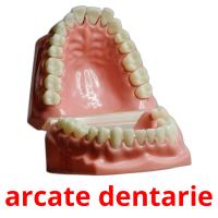 arcate dentarie ansichtkaarten