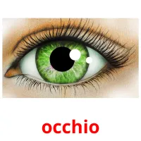 occhio flashcards illustrate