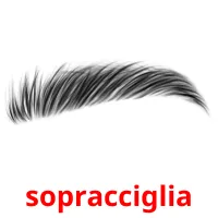 sopracciglia flashcards illustrate