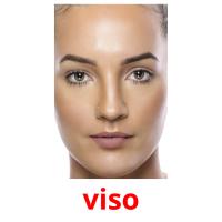 viso picture flashcards