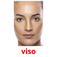 viso flashcards illustrate