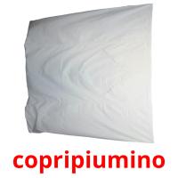 copripiumino picture flashcards