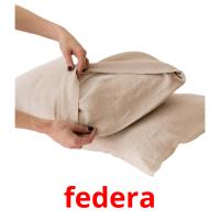federa picture flashcards
