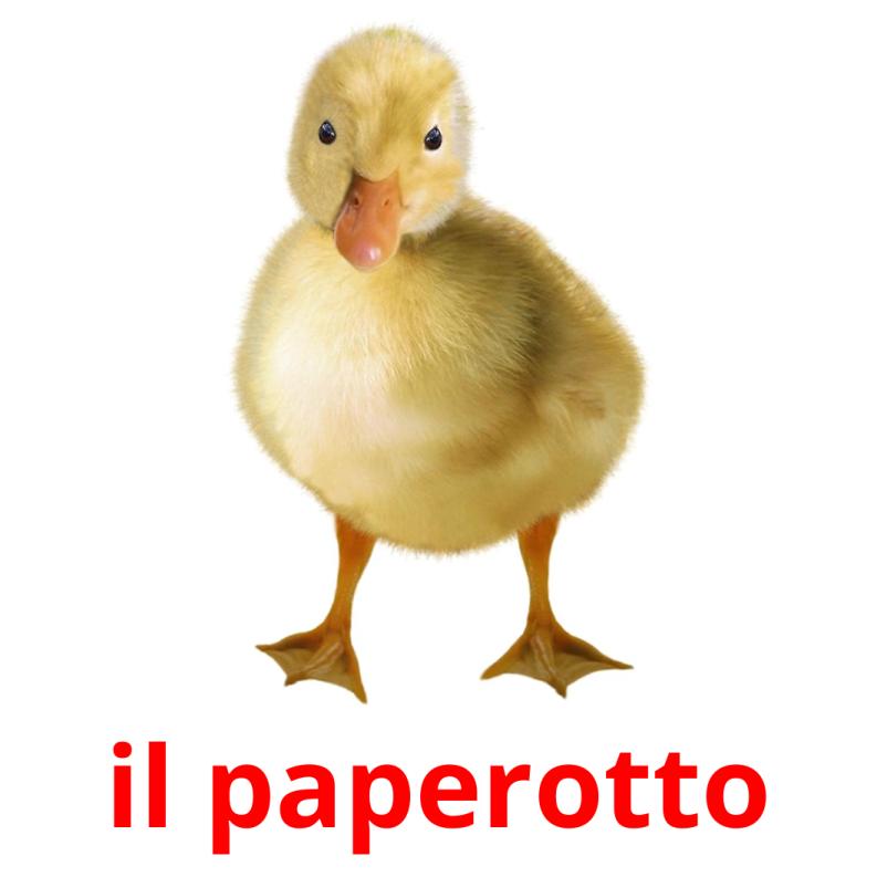 il paperotto picture flashcards